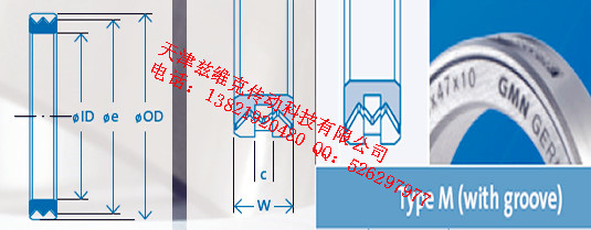 GMNM55X68X10油封圖紙